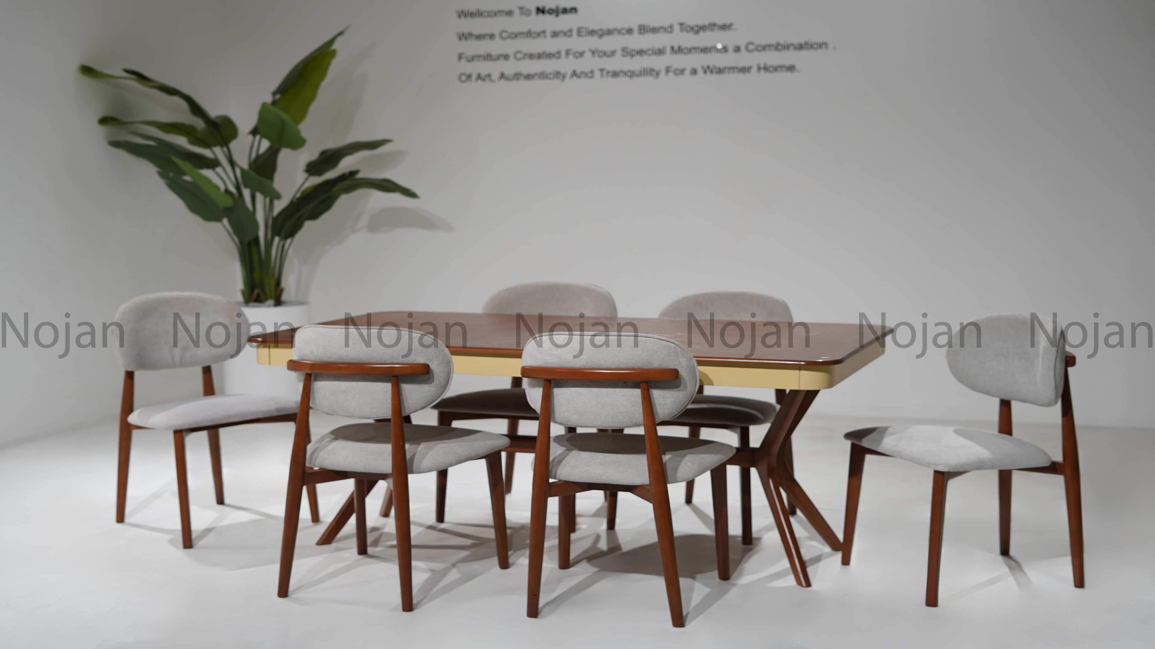 میز غذاخوری روشا